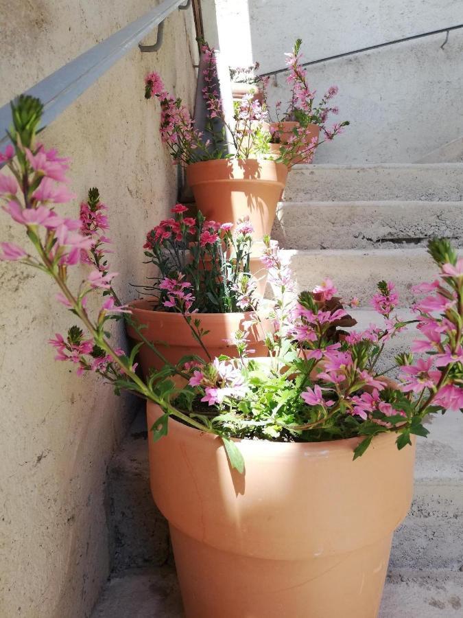 La Terrasse Villa Gignac  Bagian luar foto